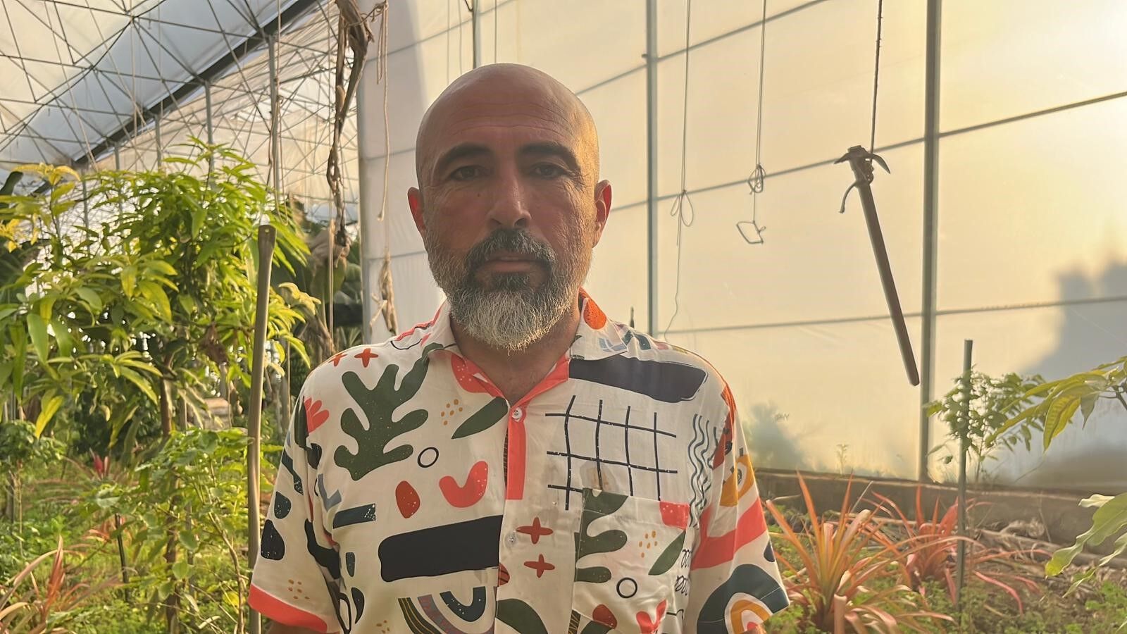 Alanya Ananas Uretimi3