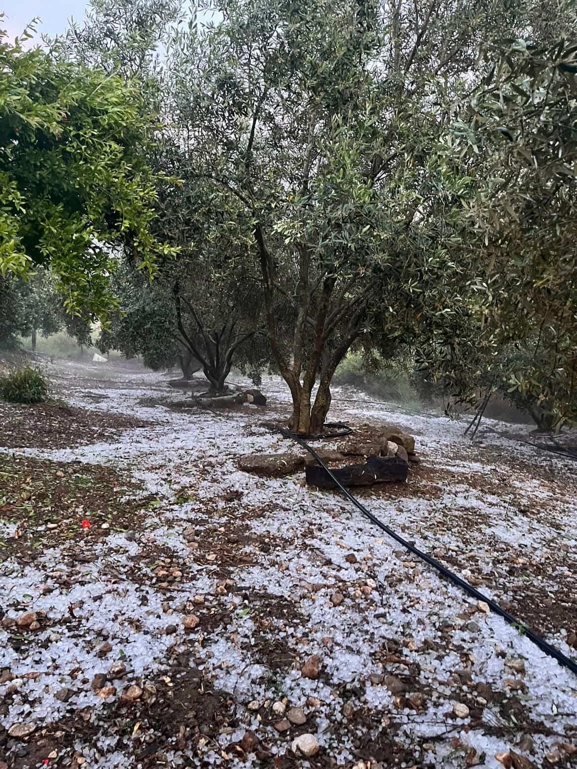 Dolu Yagisi Serik2