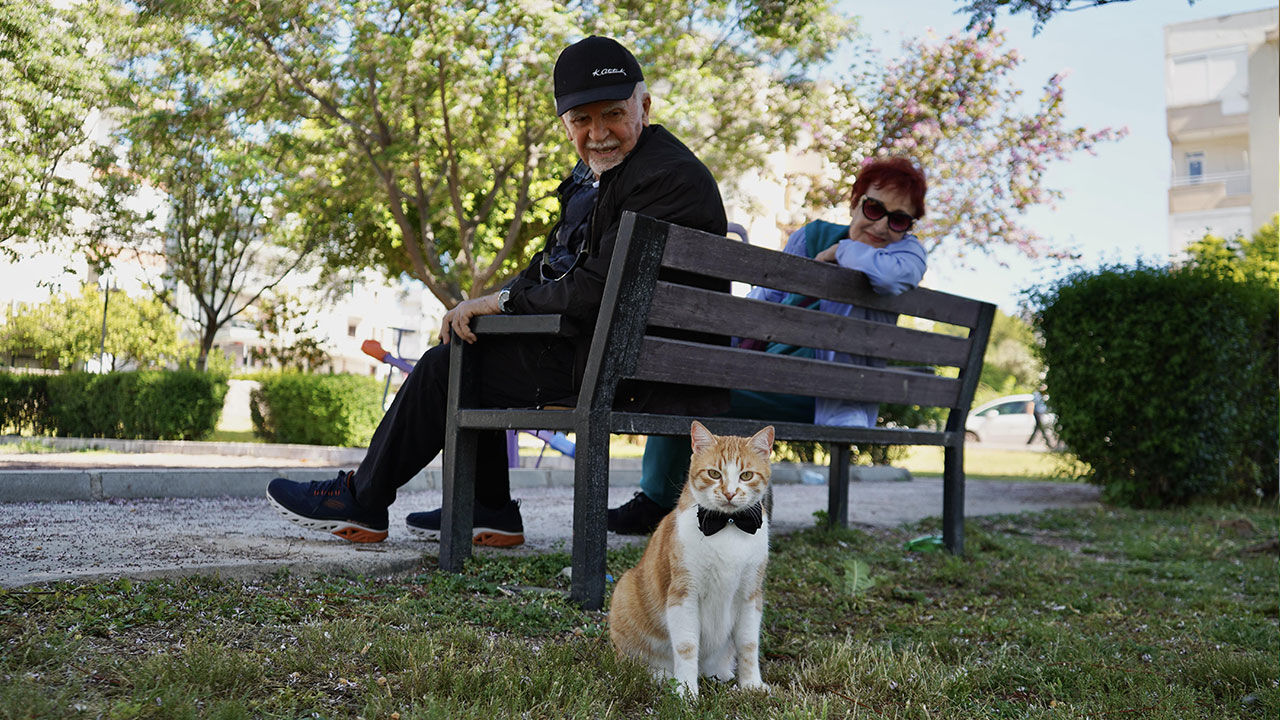 Foca Isimli Kedi Hayatlarini Degistirdi7