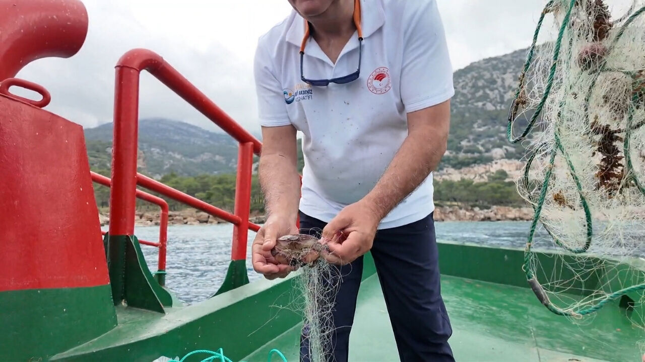Hayalet Ağ