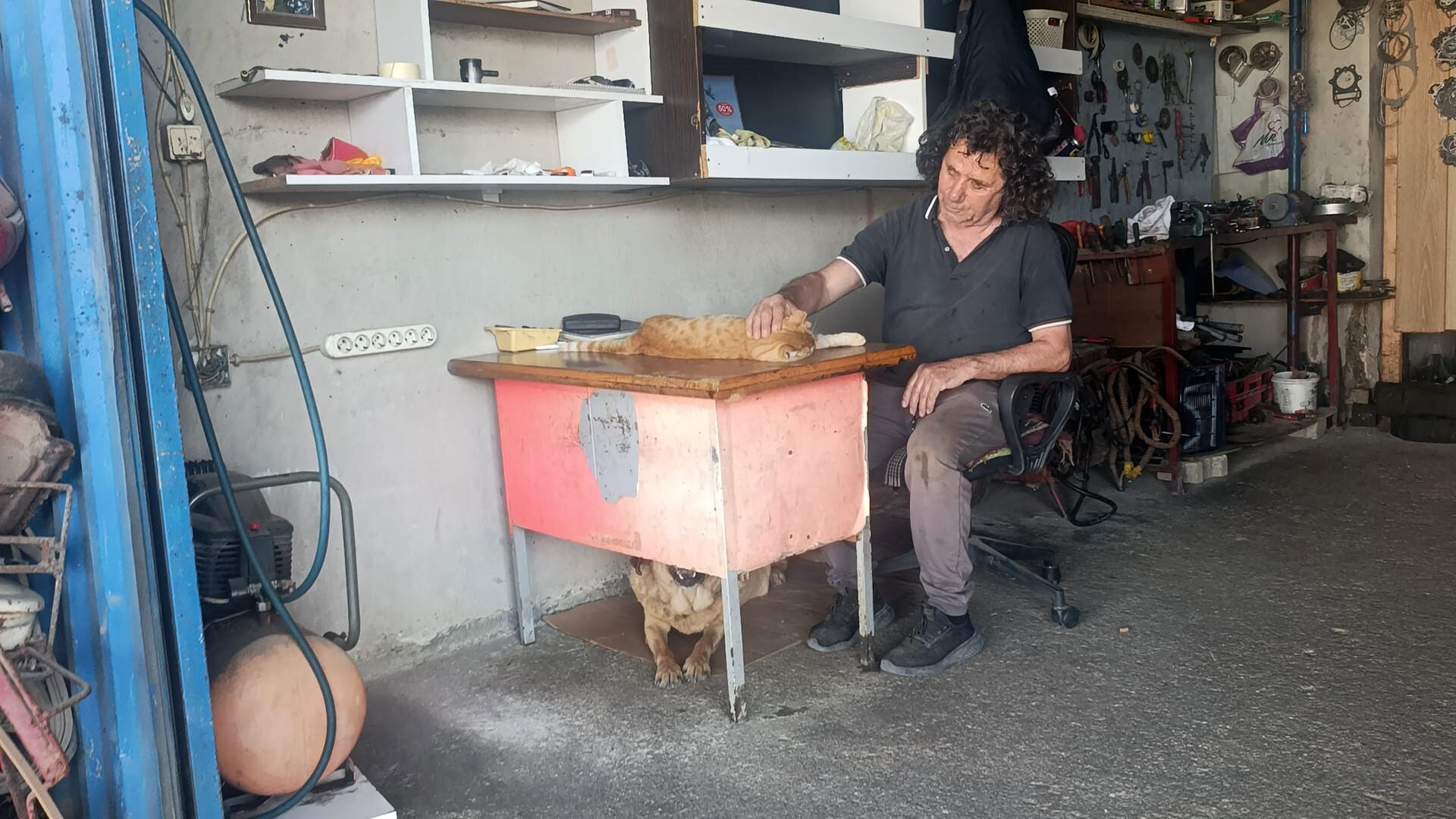 13 yıldır evladı gibi