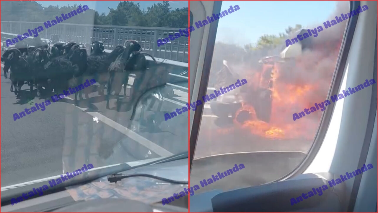 Antalya'da hayvan yüklü kamyonet alev topuna döndü! İşte o anlar