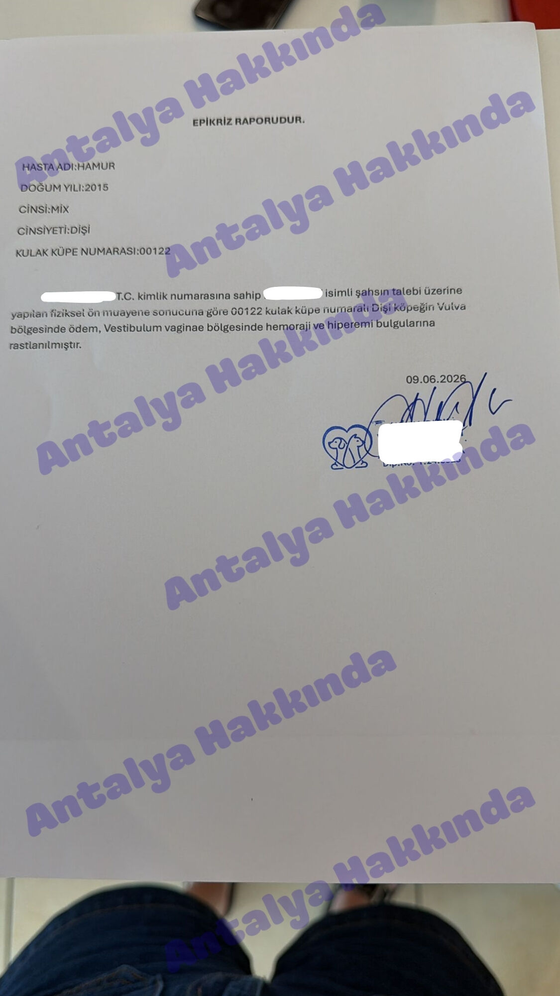 Epikriz Veterinet Antalya
