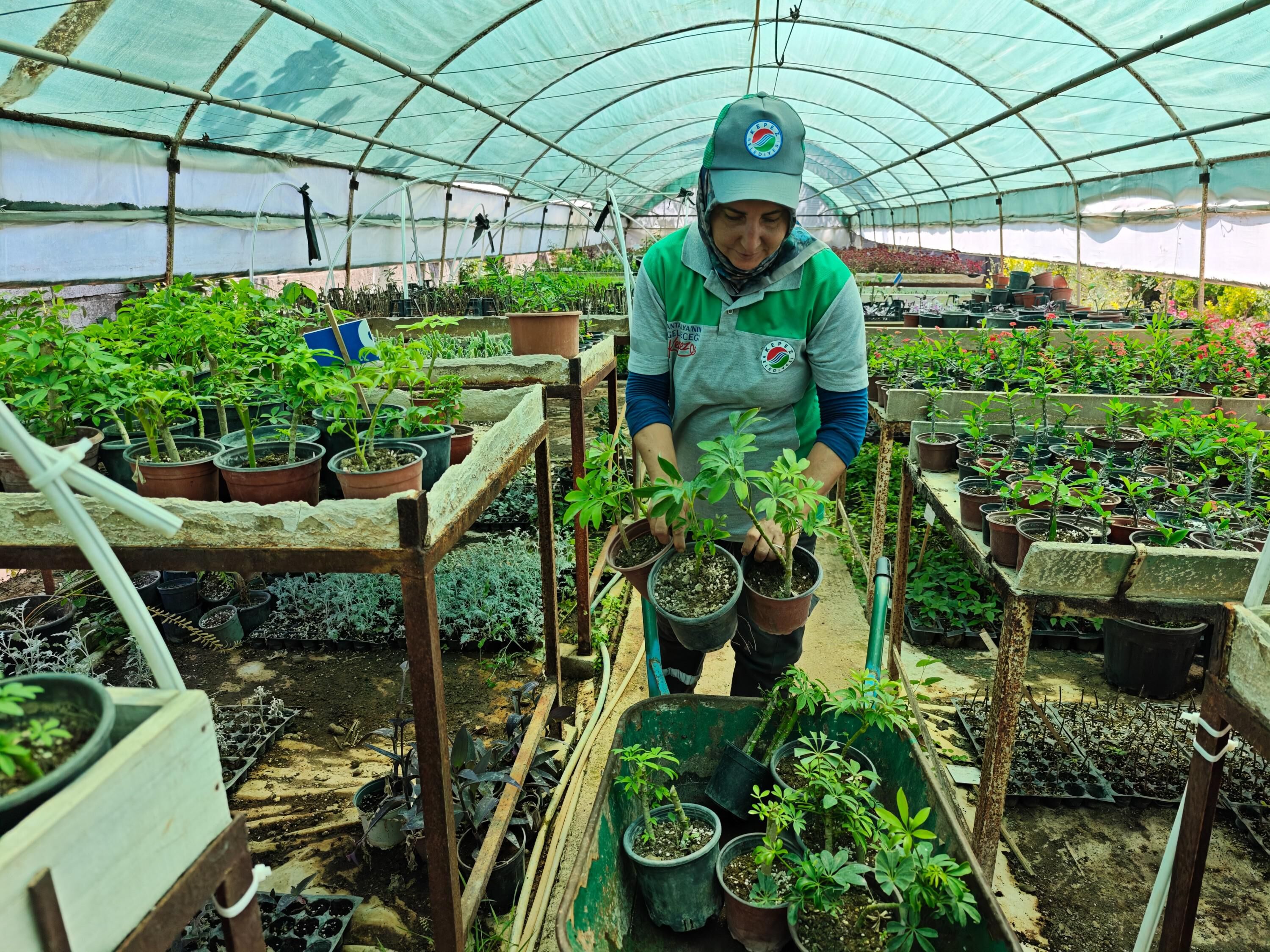 Kepezi Guzellestiren Eller 2