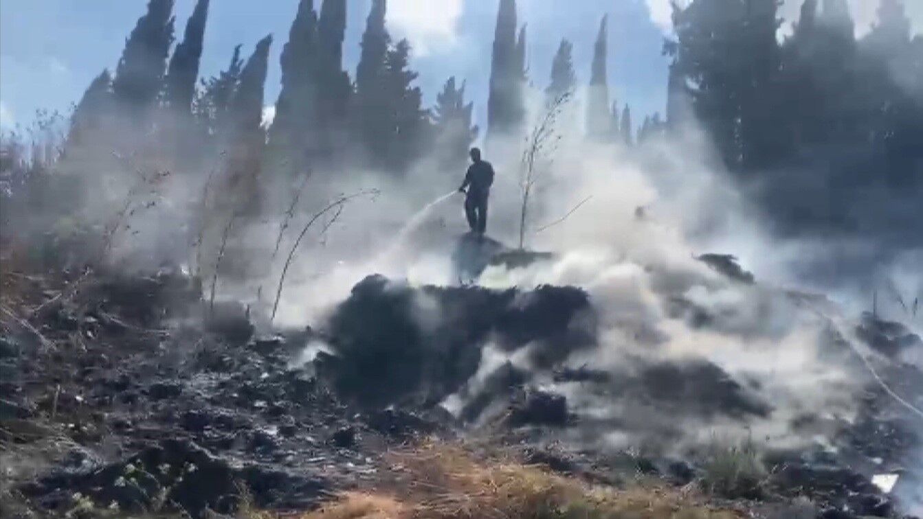 Antalya Serik Yangin Otluk Alan 2