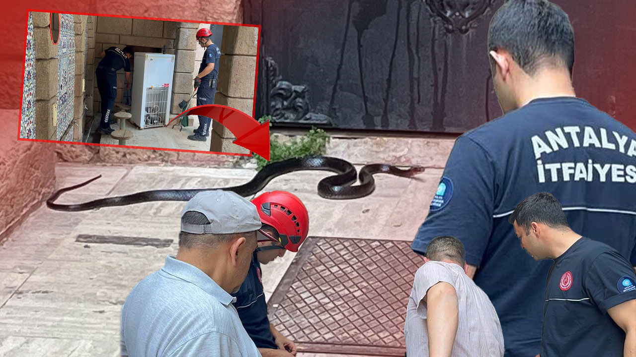 Antalya'da cemaat gözlerine inanamadı: Oyuncak sandıkları yılan gerçek çıktı!