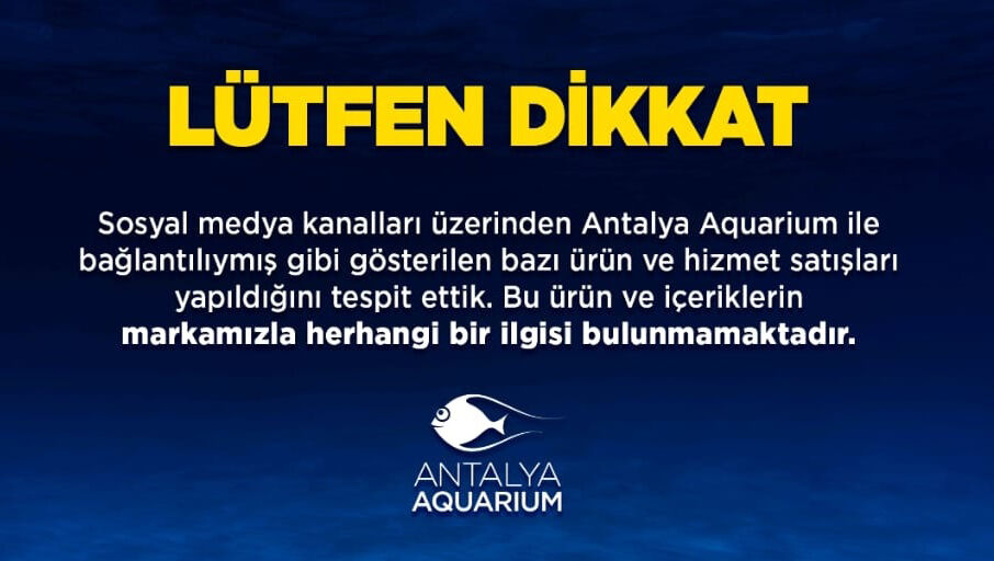 Dijital Dolandiricilara Suc Duyurusu Akvaryum Antalya3