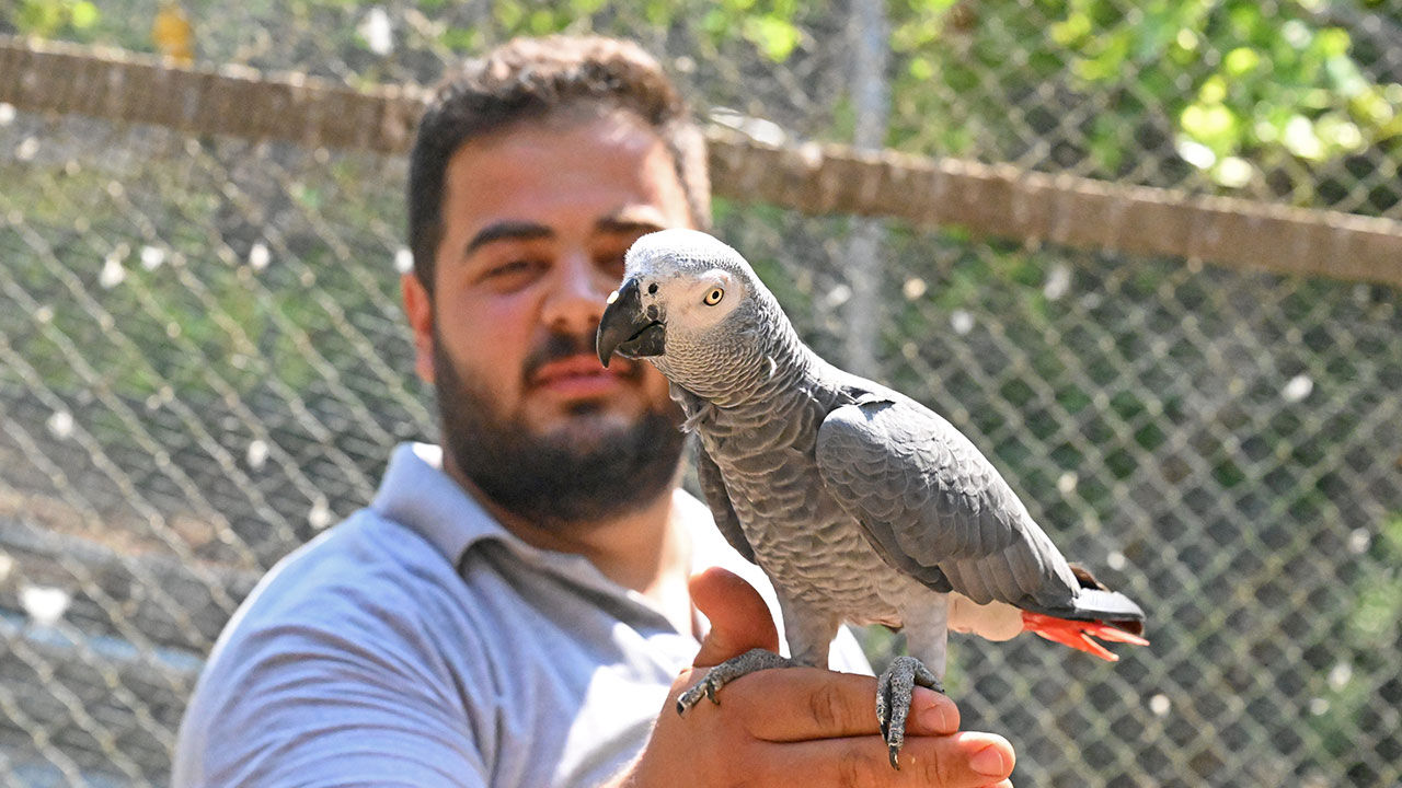 Dogal Yasam Parki Antalya Yeni Yavrular4