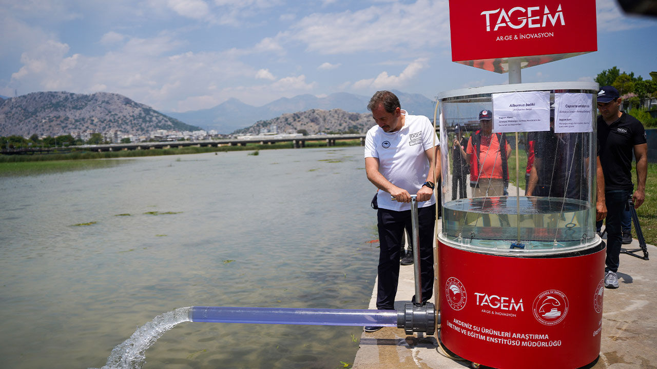 Endemik Balik Yavrulari Suyla Bulustu Antalya3