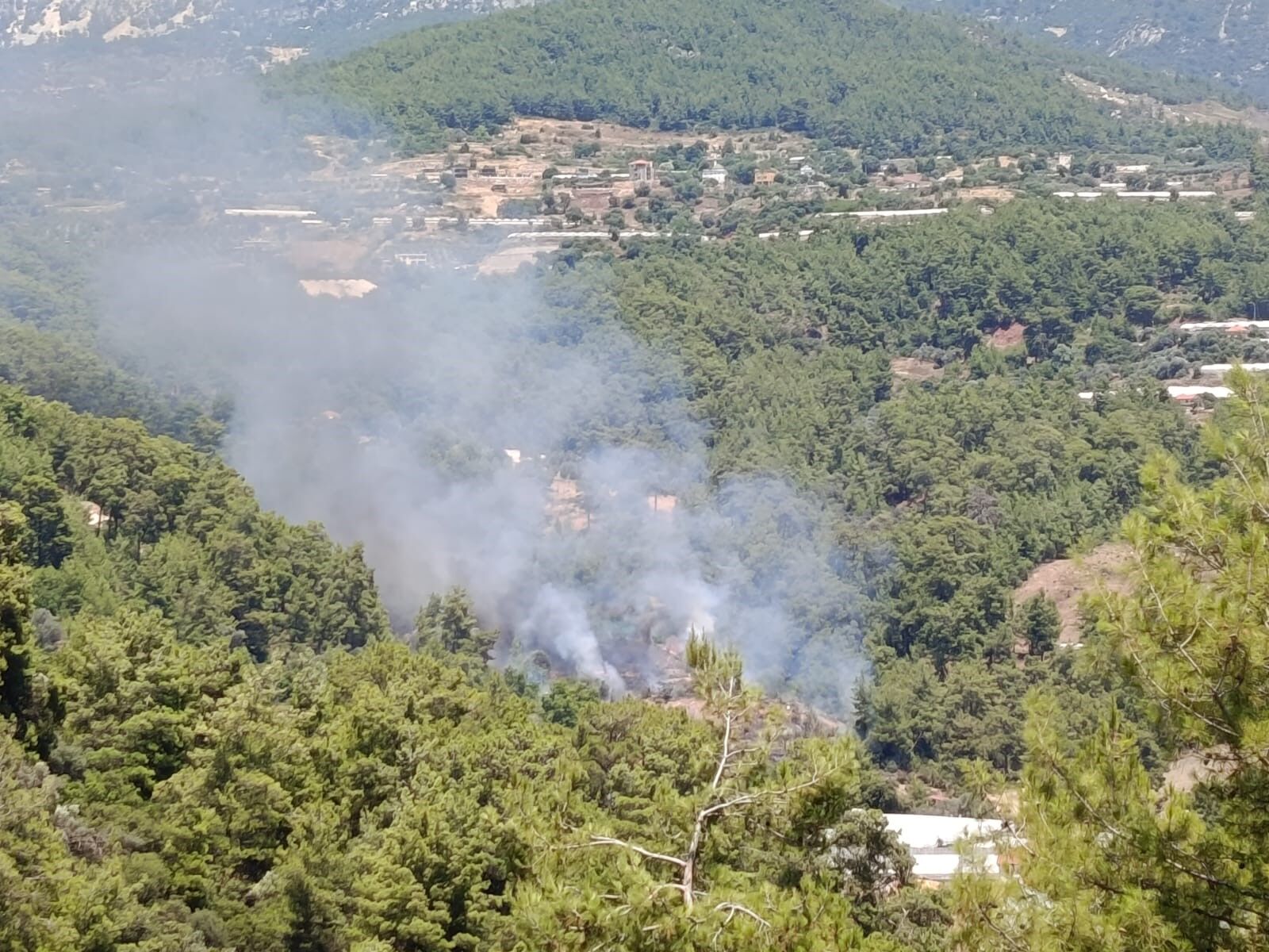 Kumluca Makilik Alan Antalya Yangin Sonduruldu1