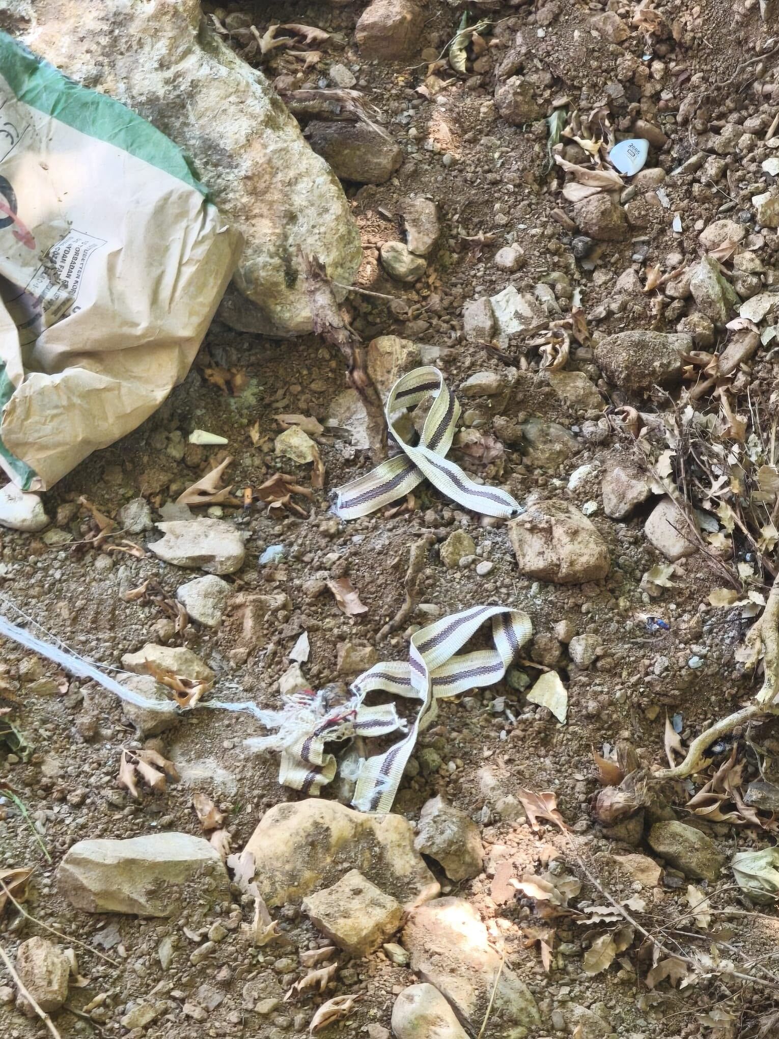 Macar Mahallesi Gazipasa Antalya Agac Asili Bulundu.1
