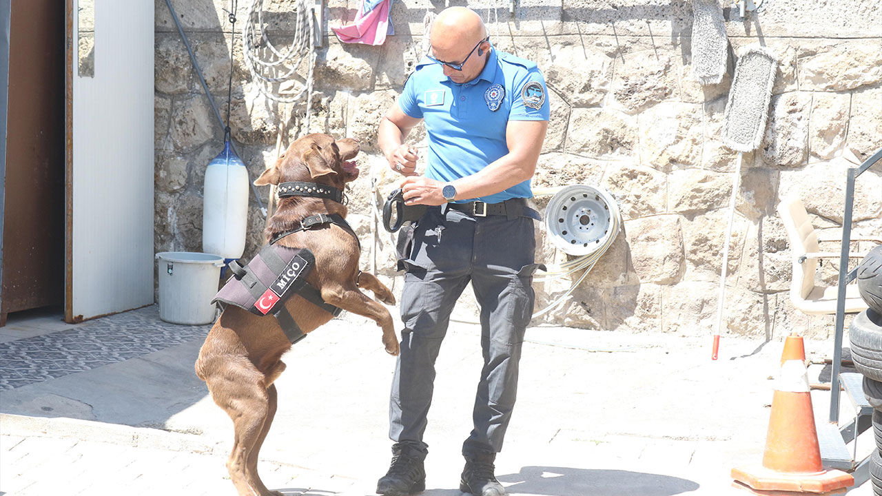 Mico Deniz Polisi Antalya4