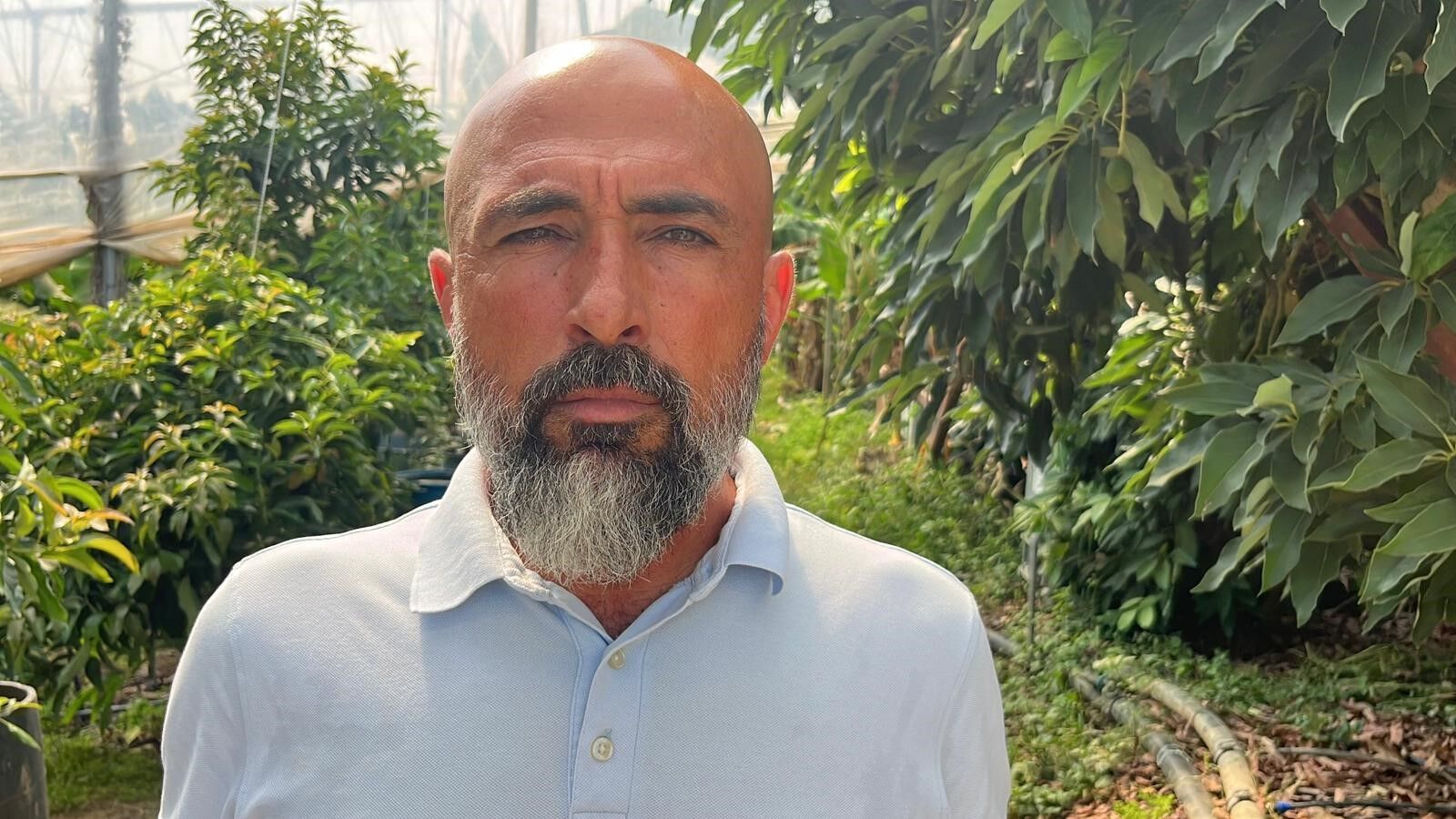 Muz Sera Pazar Fiyat Farki Antalya1