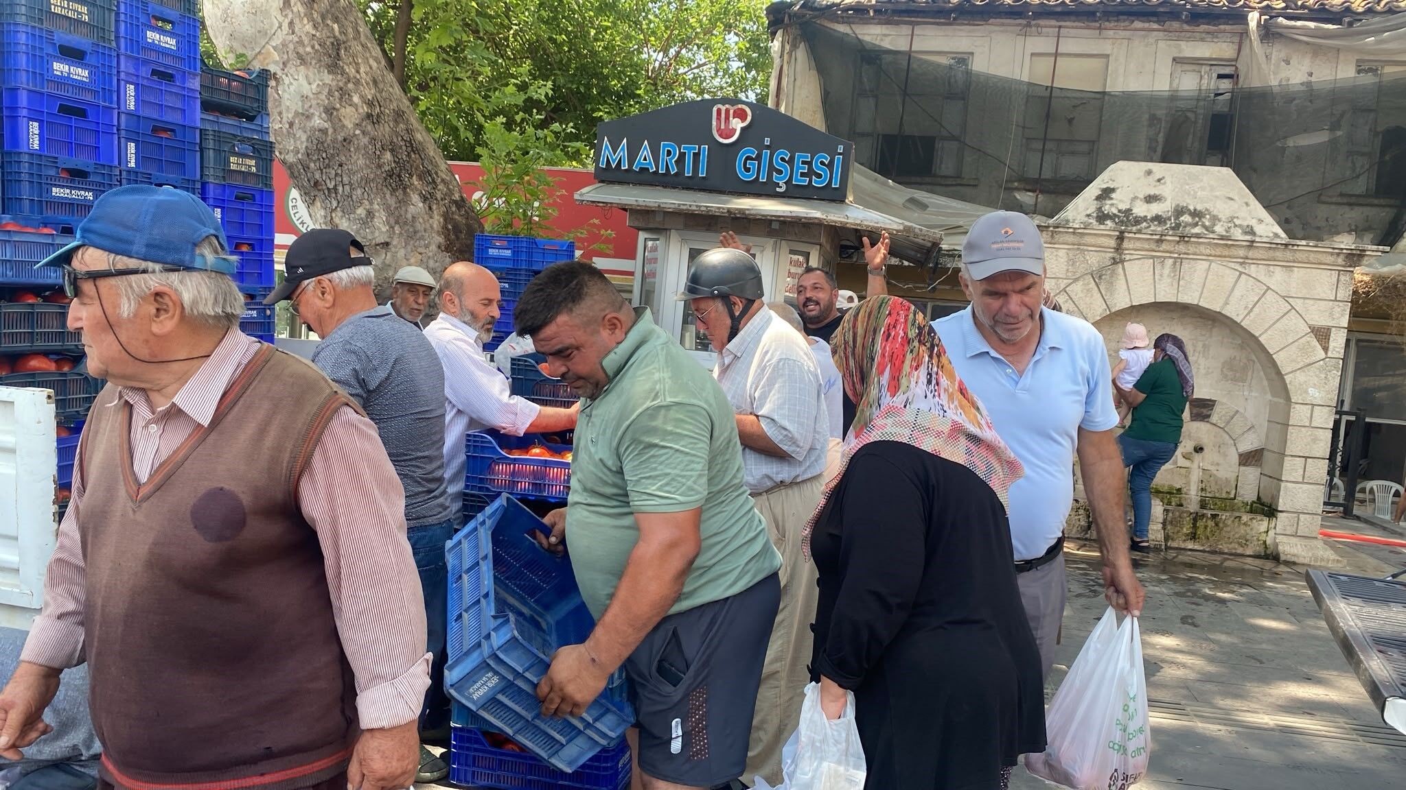 Serik 4 Ton Domates Ucretsiz Dagitti4