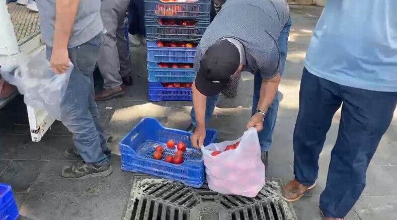 Serik 4 Ton Domates Ucretsiz Dagitti5