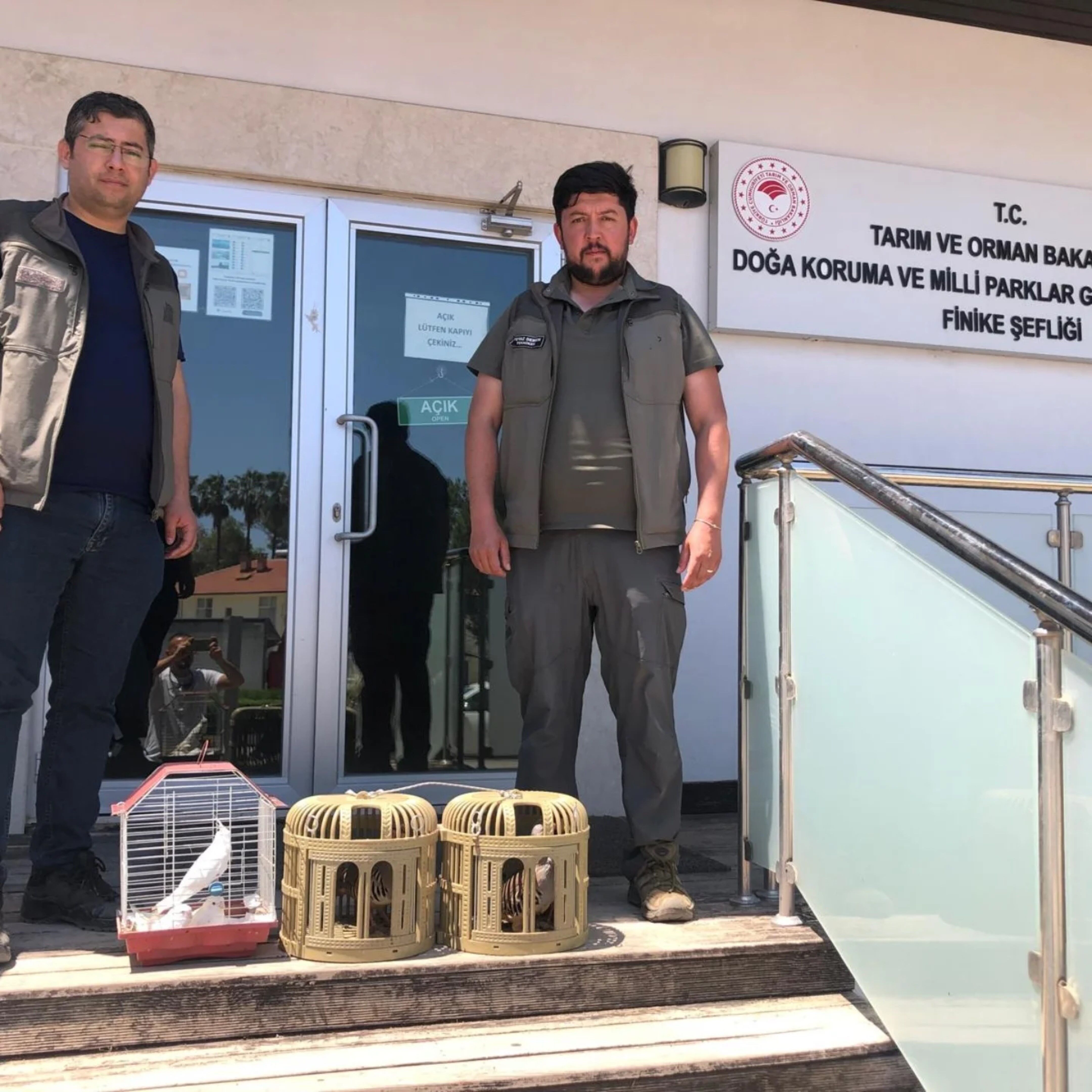 Yasadisi Ticaret Keklik Papagan Antalya1