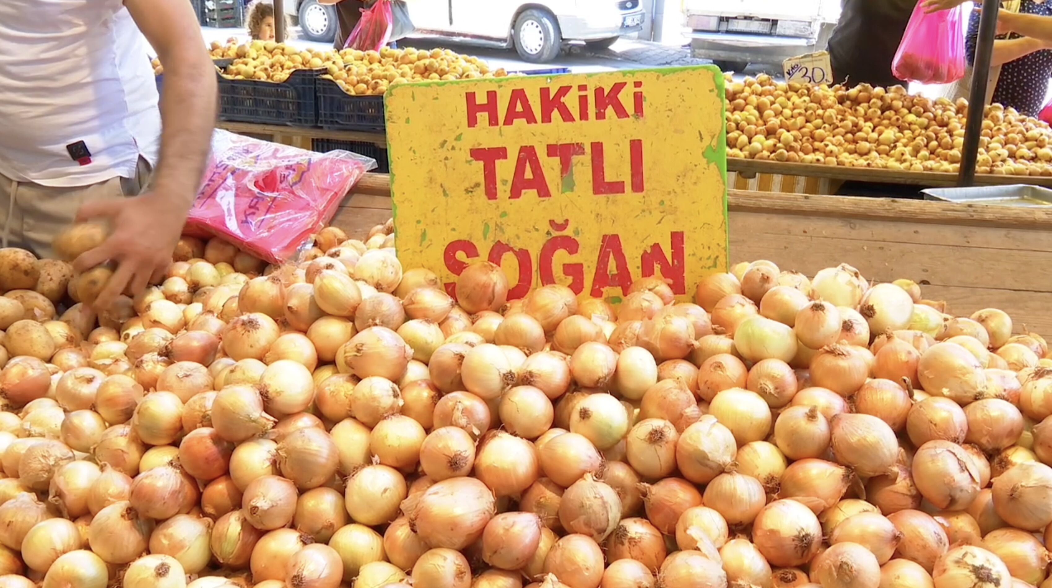 Soğan Foto