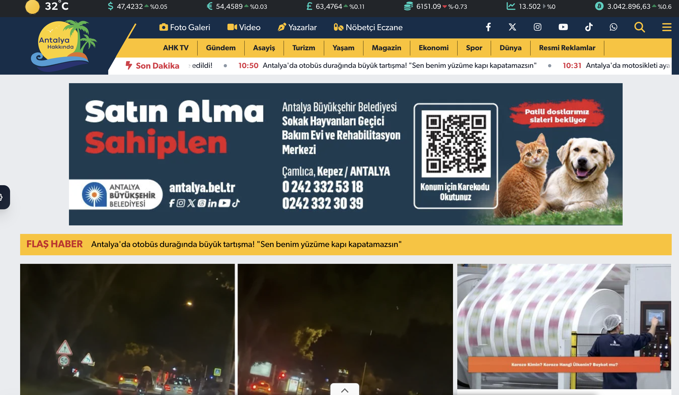 sokak hayvanı sahiplen