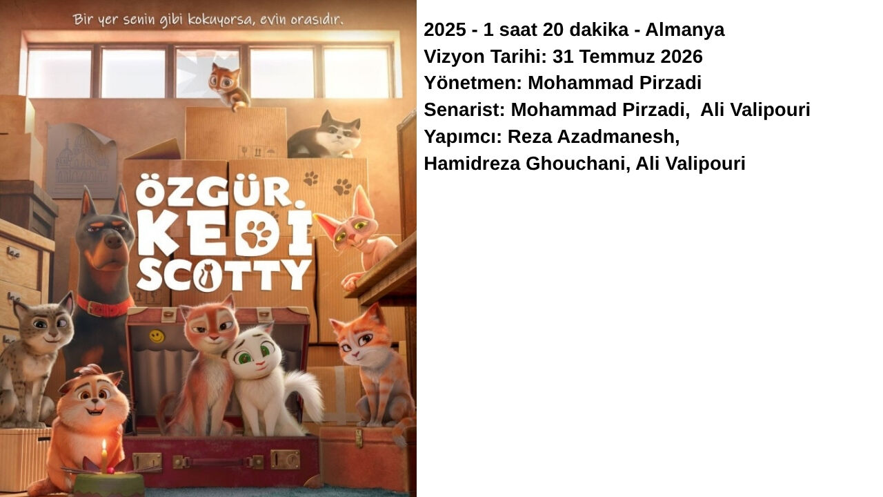 Özgür Kedi