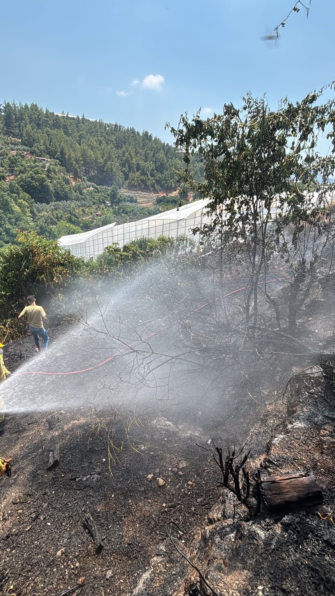 Alanya Avokado Yangin.3