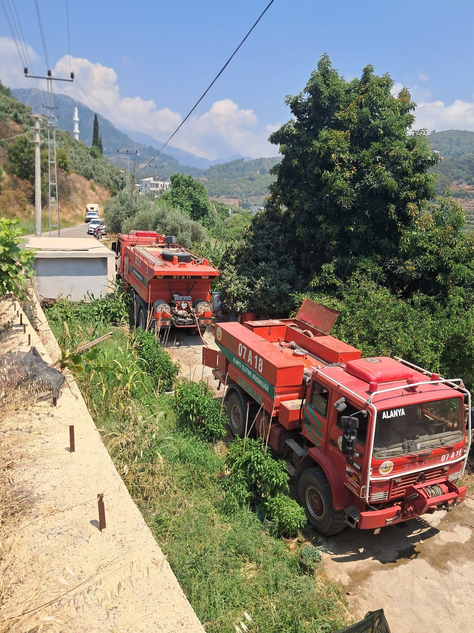 Alanya Avokado Yangin.5