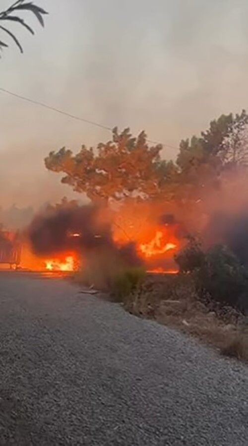 Alanya Calilik Alanda Yangin Arac Hasar1