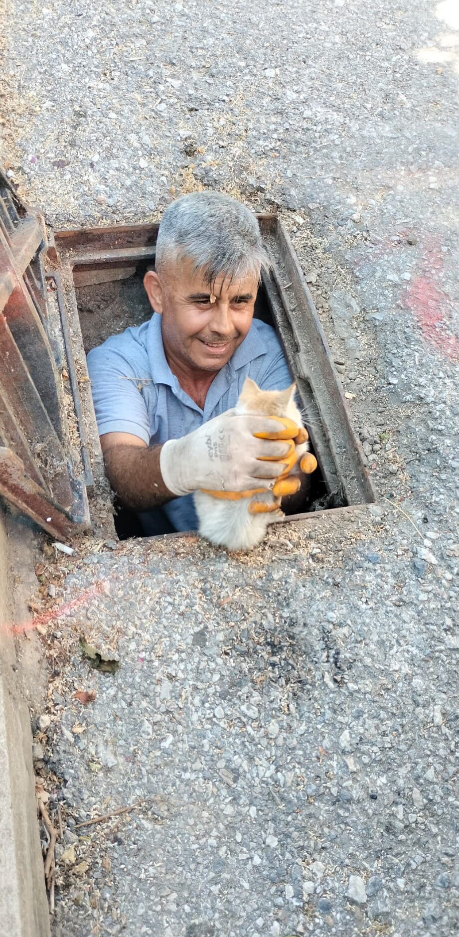 Alanya Kanalizasyon Antalya Kedi Kurtarildi4