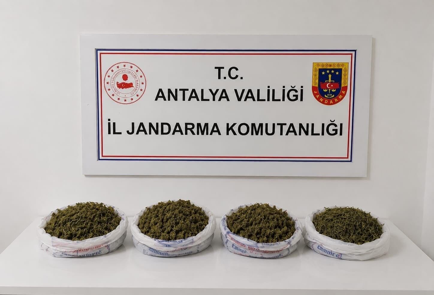 Alanya Kubar Esrar Ele Gecirildi2