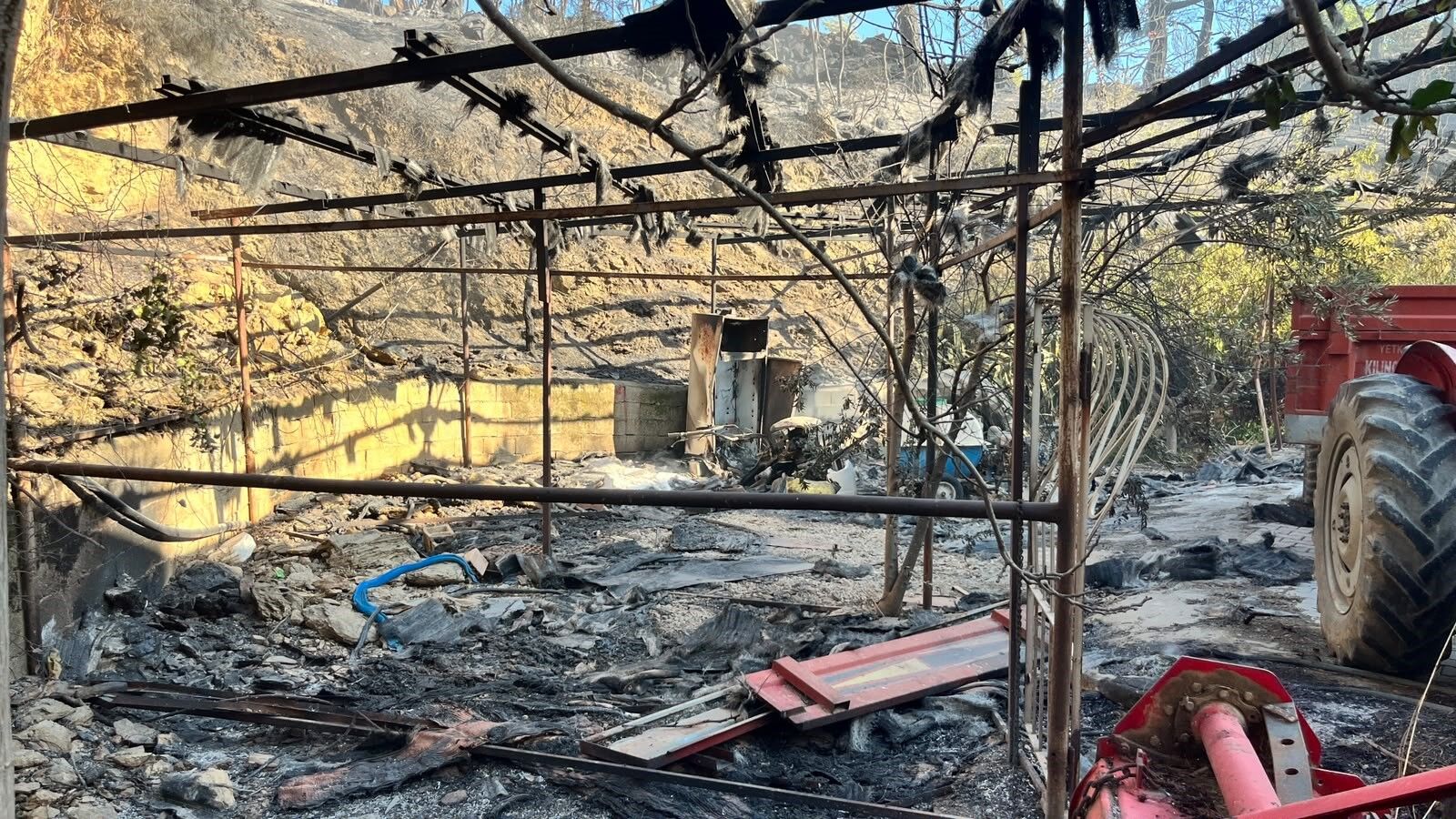 Alanya Orman Yangini Sera