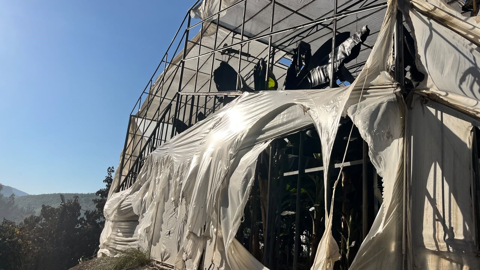 Alanya Orman Yangini Sera5