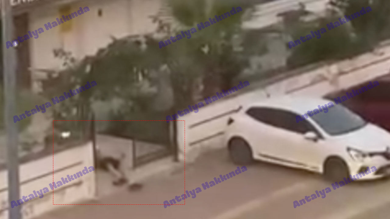 Antalya Hurma Mahallesi Tartisma Yarali3