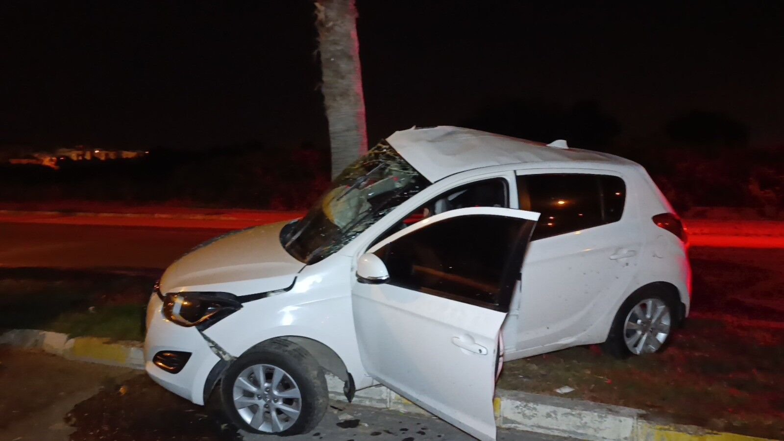 Arac Palmiyeye Carpti Yarali Antalya1