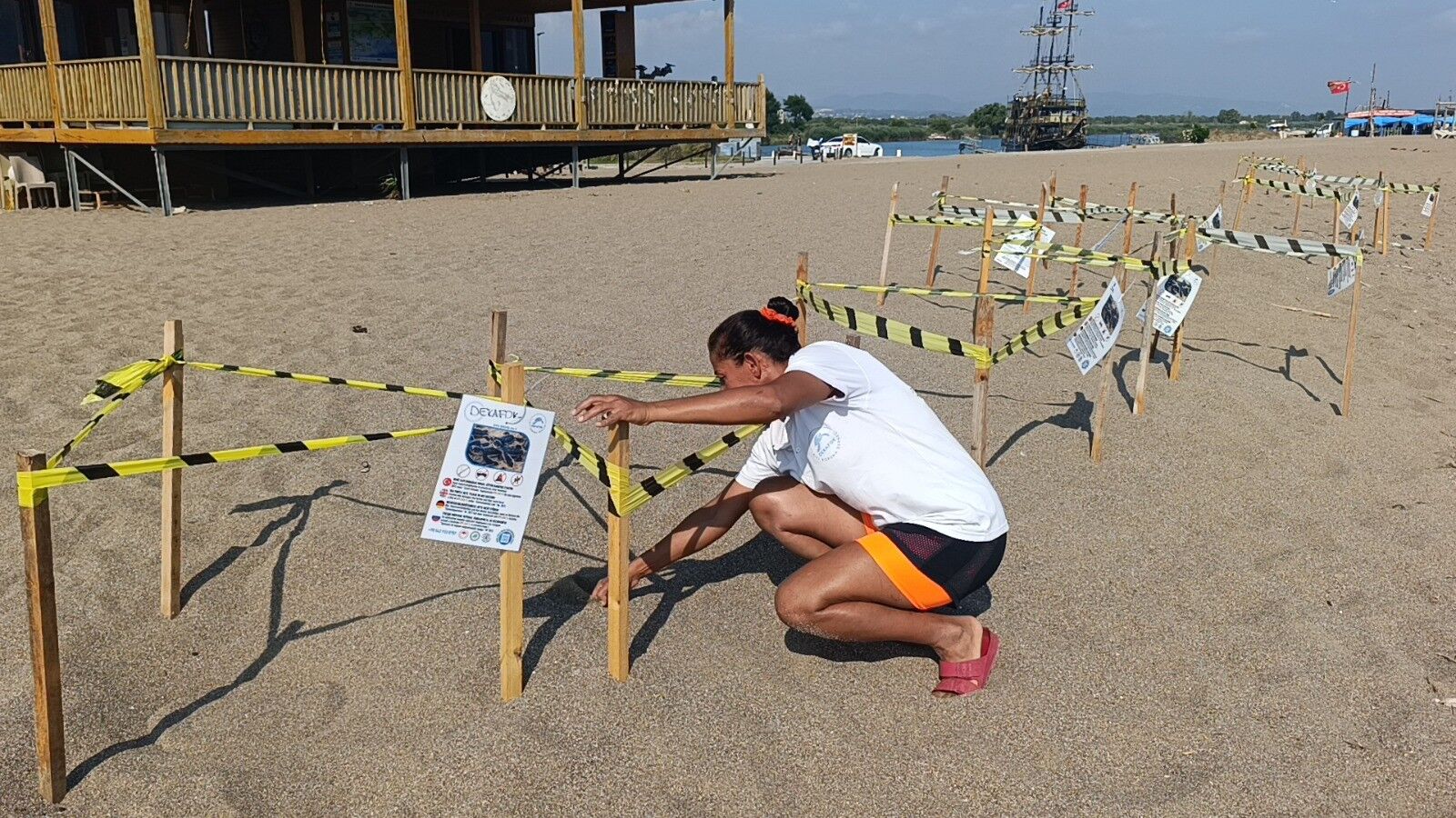 Caretta Antalya Yavru Deniz1