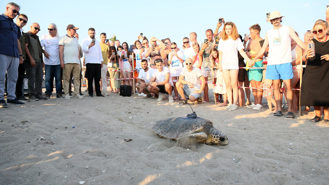 Engelli Caretta Uydu Takibi