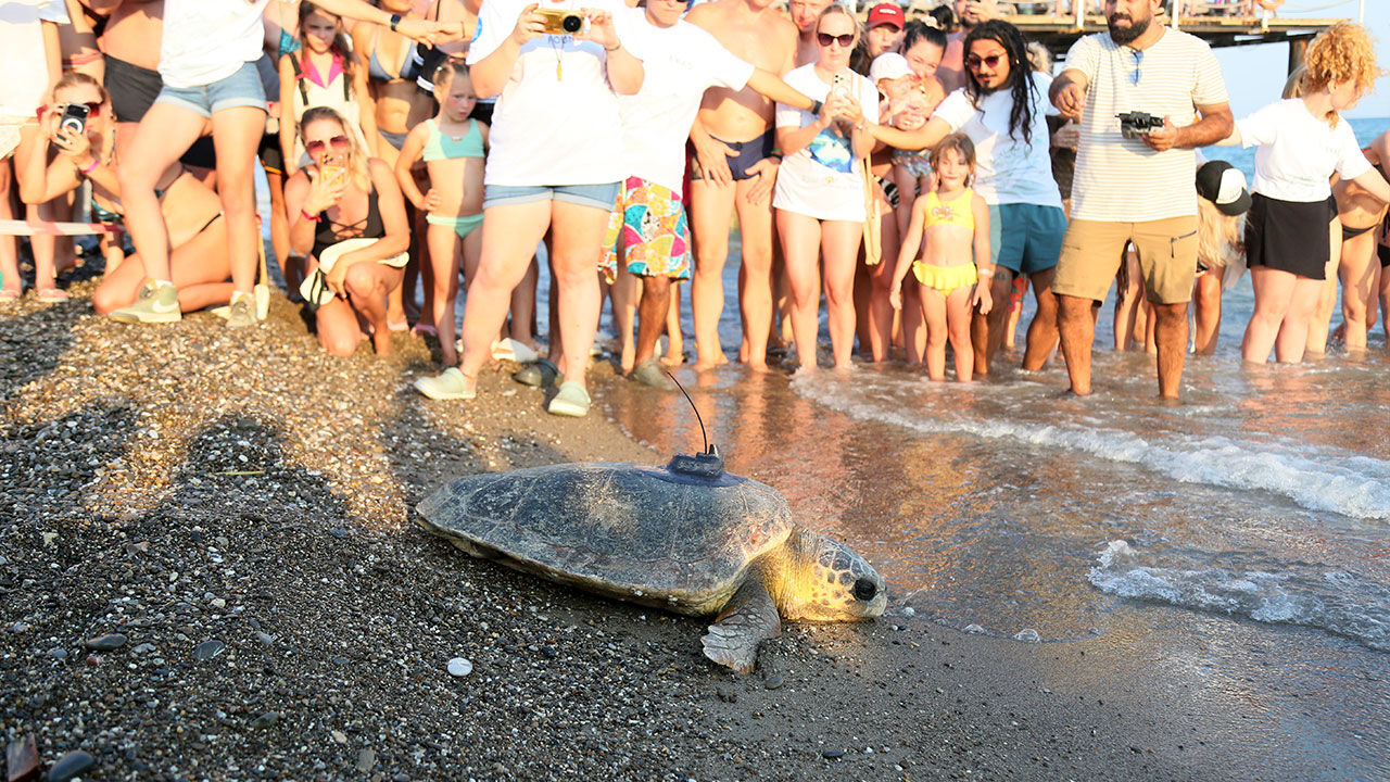 Engelli Caretta Uydu Takibi.2