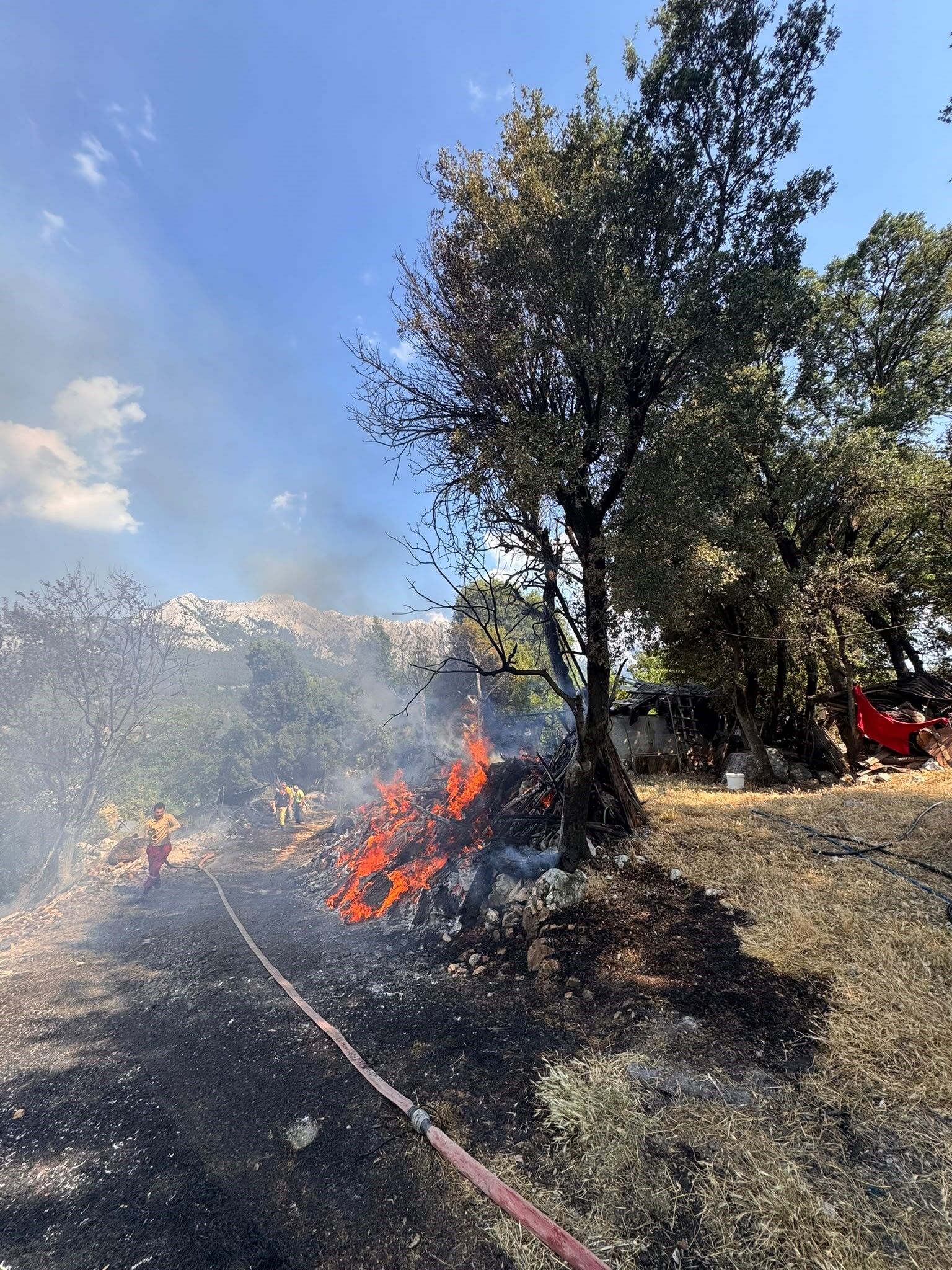 Kumluca Odunluk Yangin Antalya2