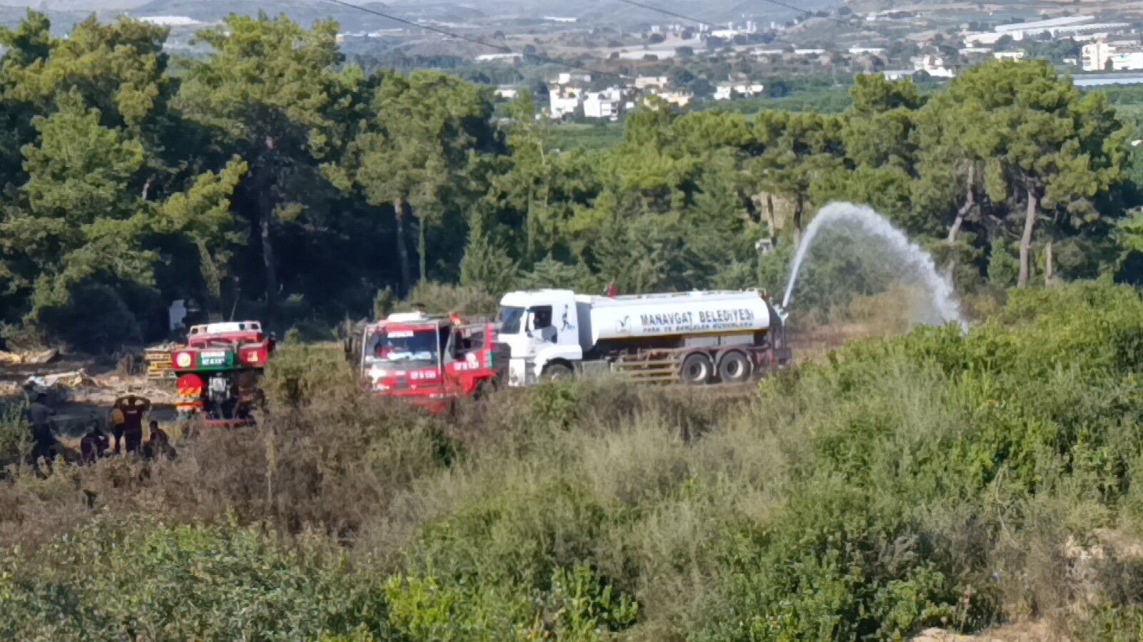 Manavgat Sarilar Mahallesi Ormanlık Alan Yangin5