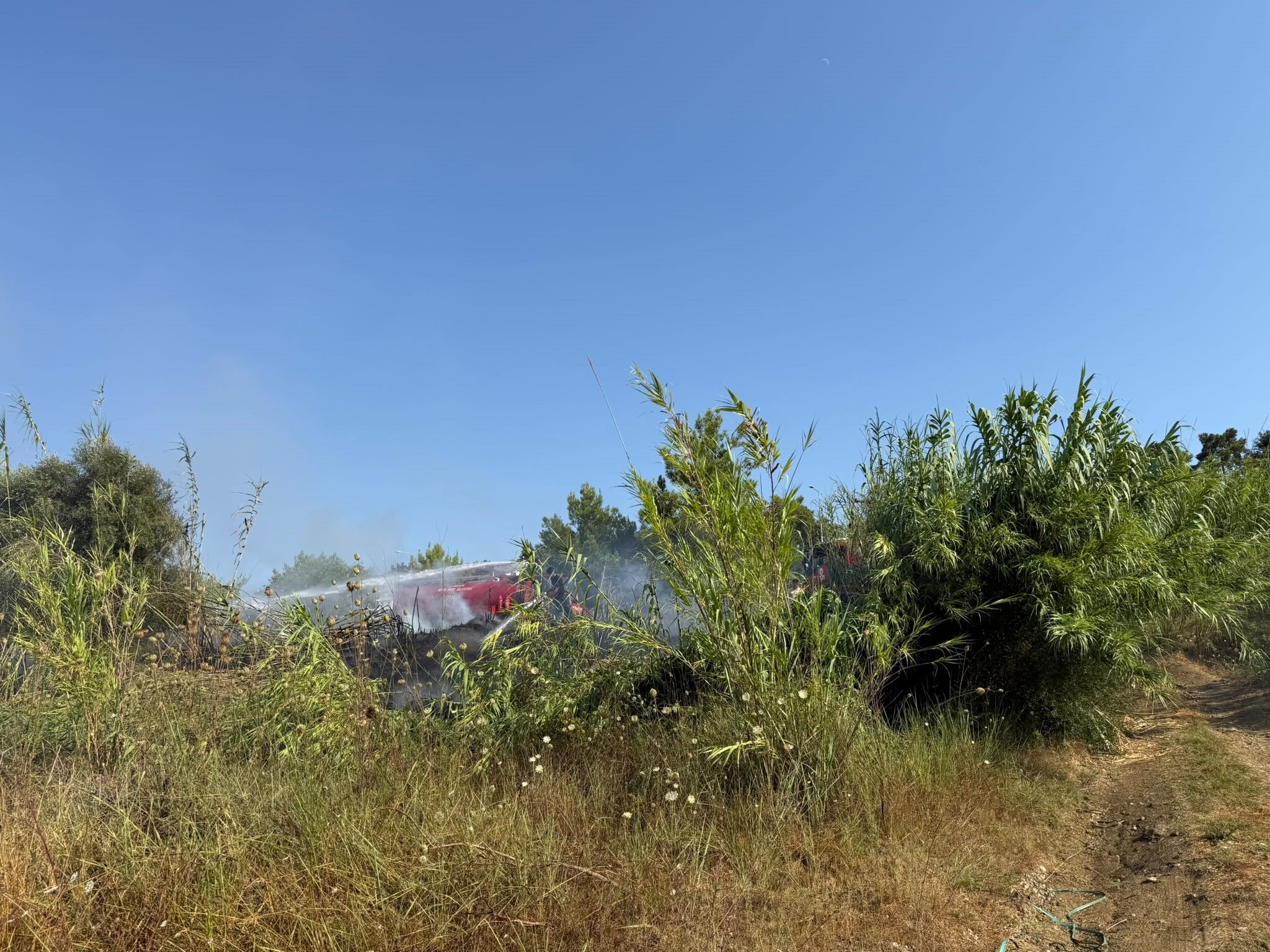 Manavgat Sarilar Mahallesi Yangin1