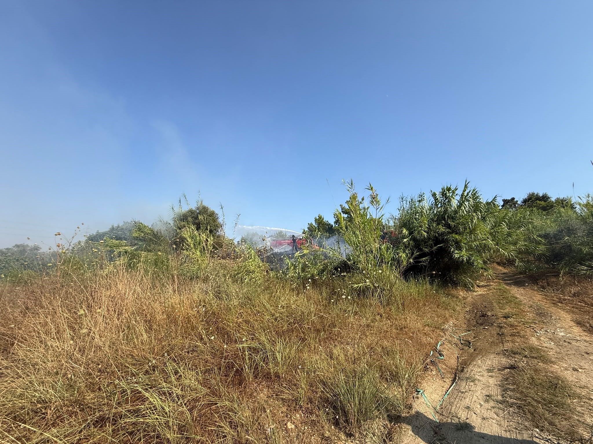 Manavgat Sarilar Mahallesi Yangin2