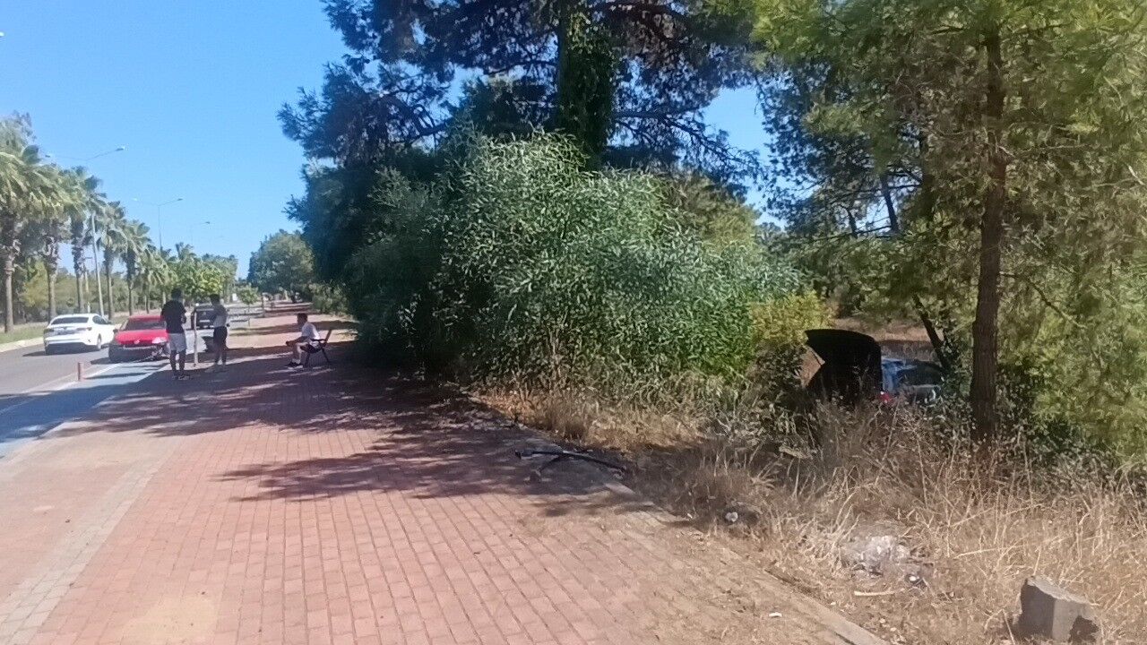 Manavgat Sorgun Kaza Orman Antalya