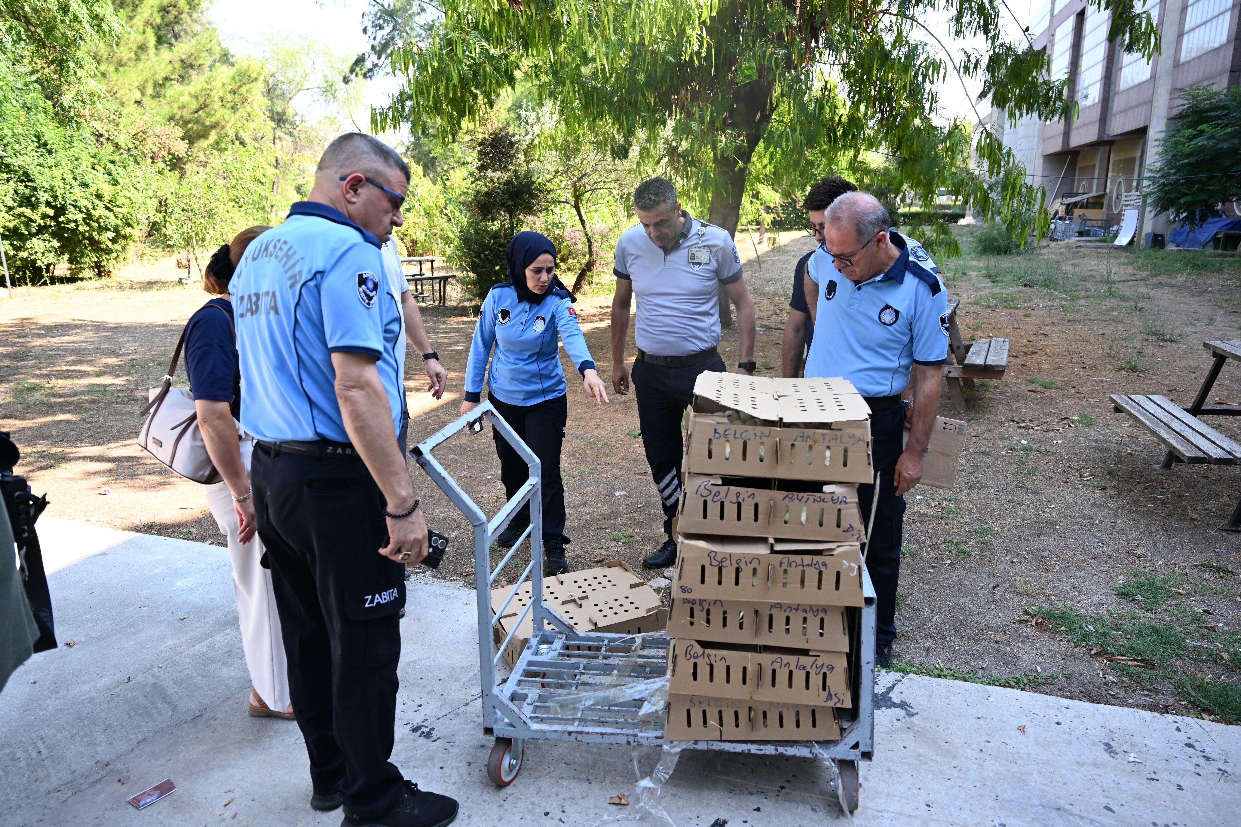 Otobuste Civciv Ele Gecirildi Antalya5