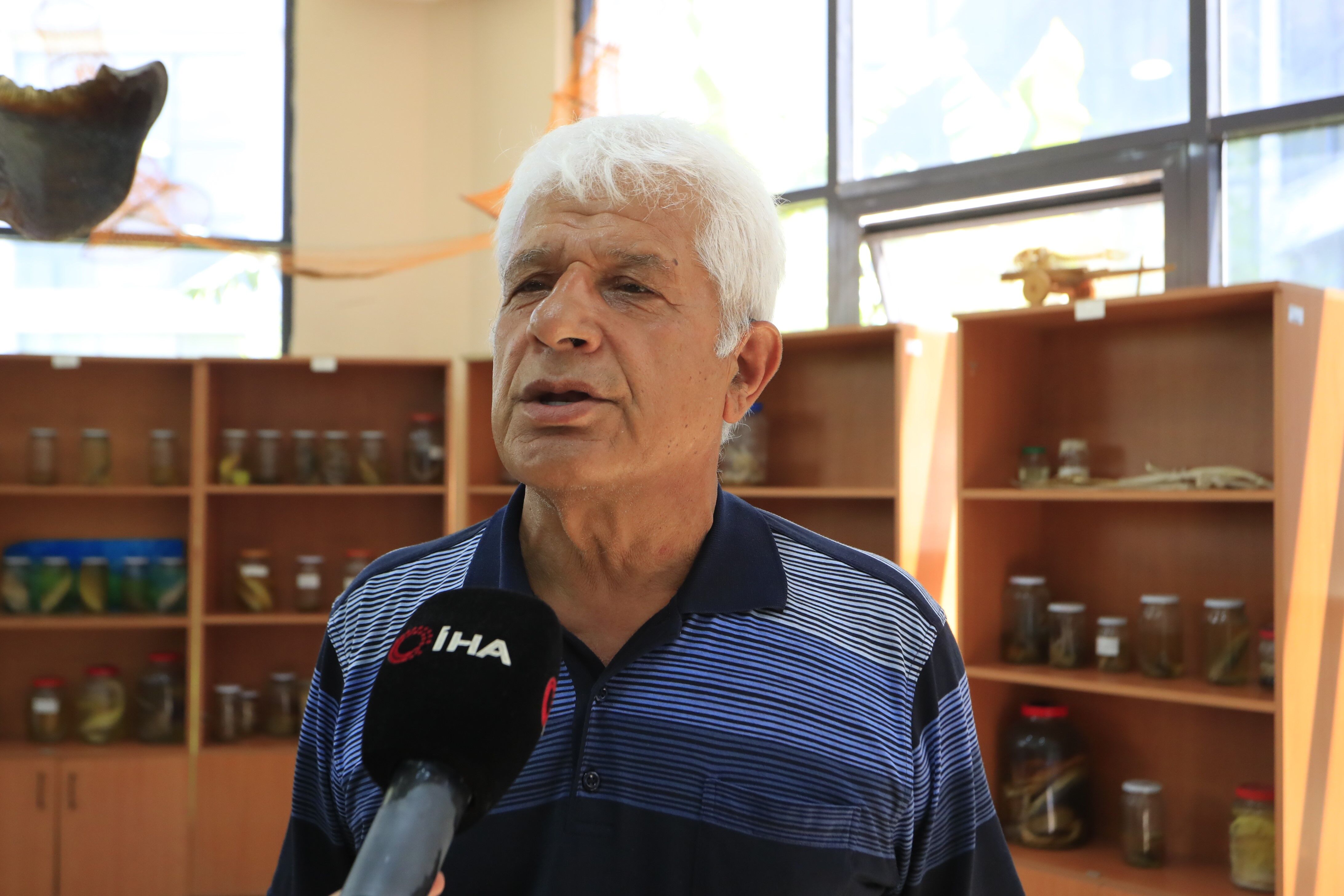 Vatoz Surusu Antalya3