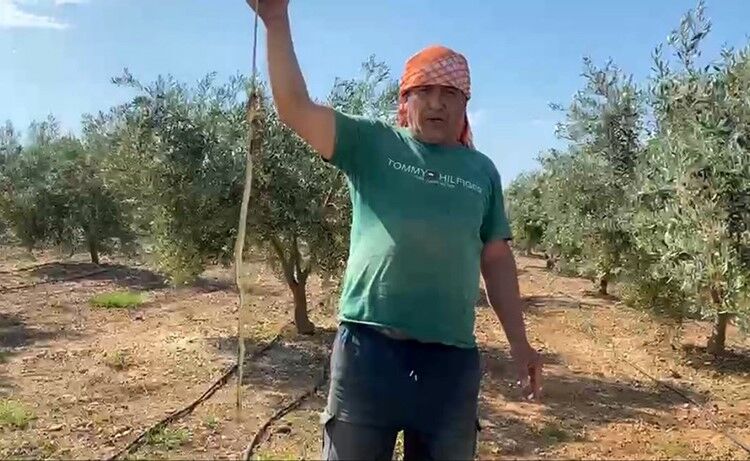 Yilan Ceza Serik Antalya.4
