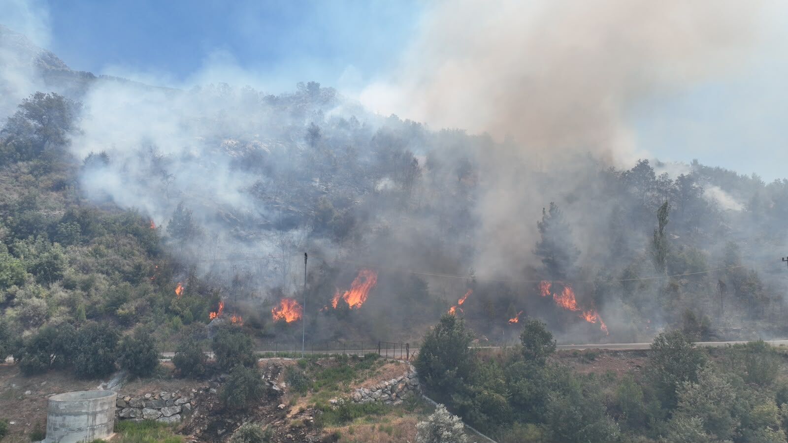 Alanya Orman Yangını (18)