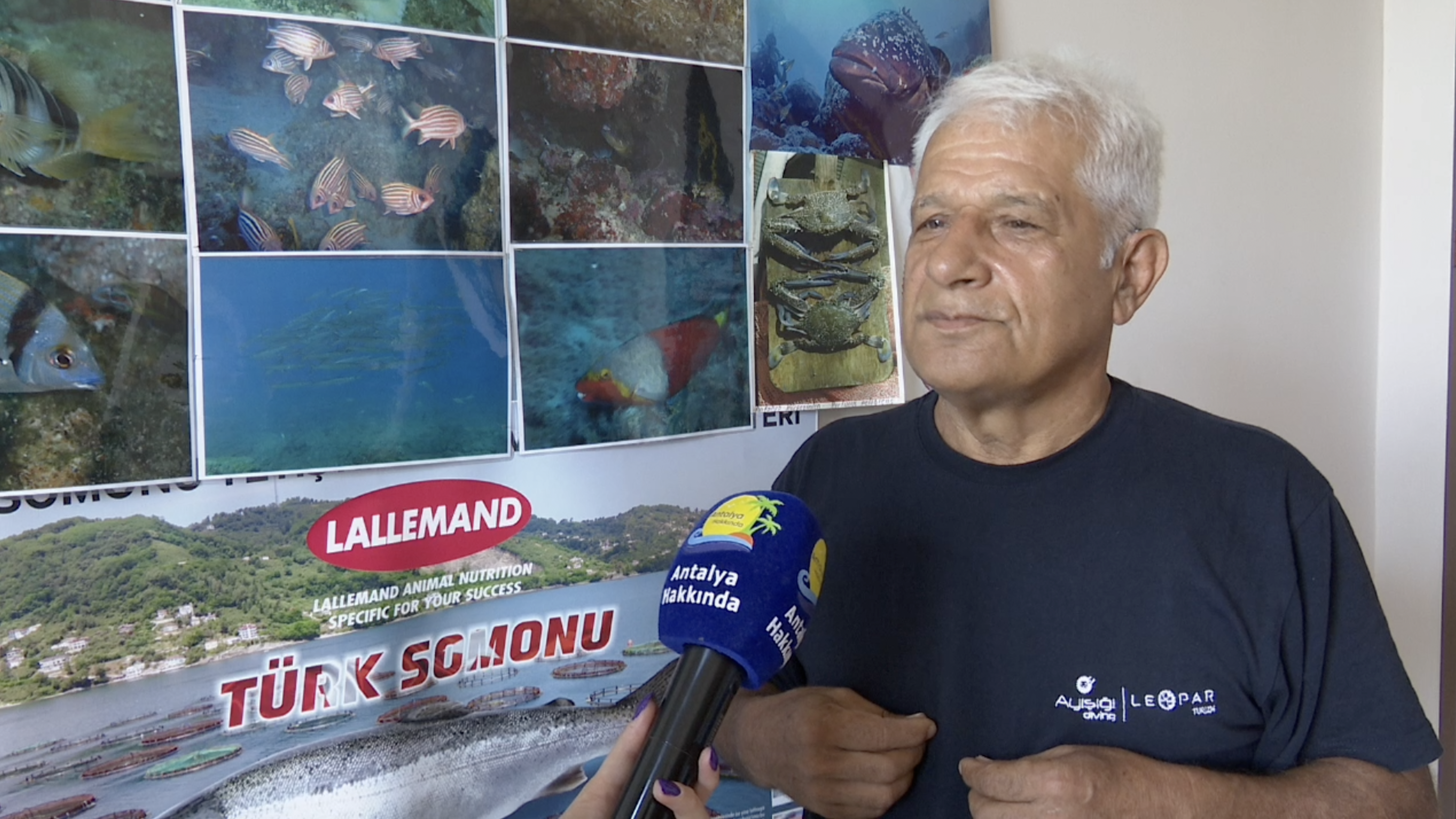 Mehmet Hoca Caretta Foto