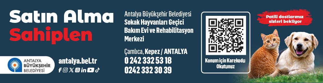 Reklam Bloğu