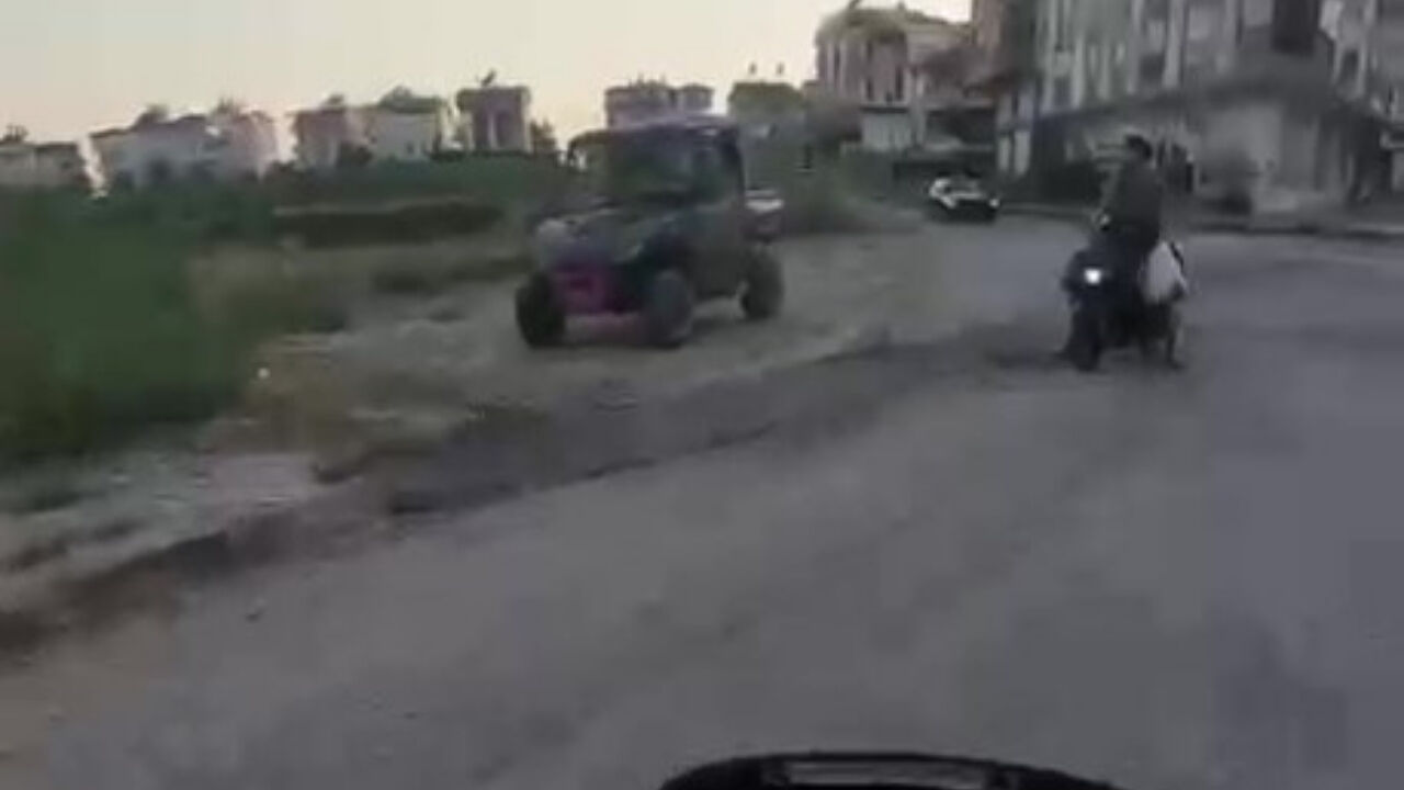 Antalya Köpek2