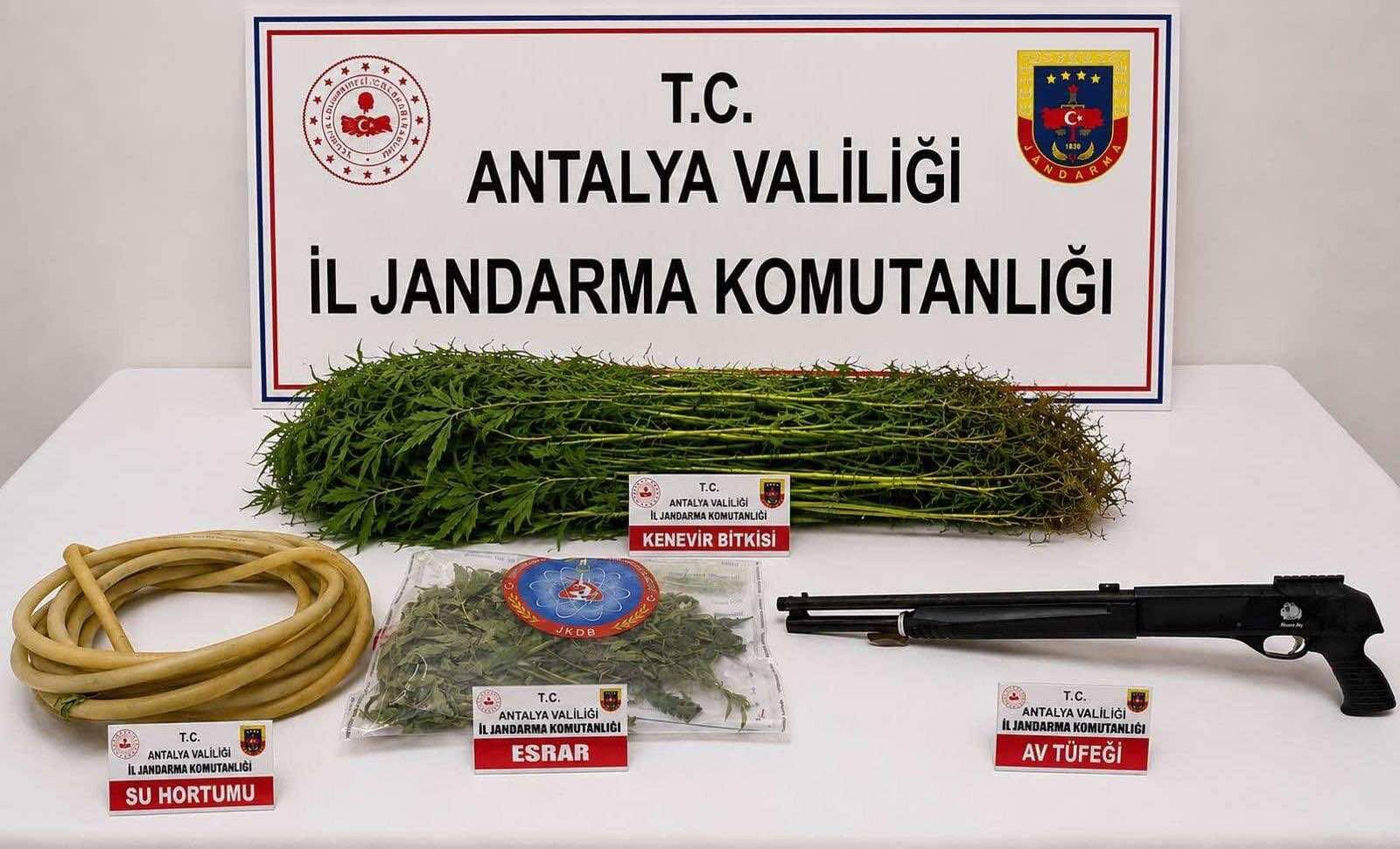 Alanya Kenevir Antalya