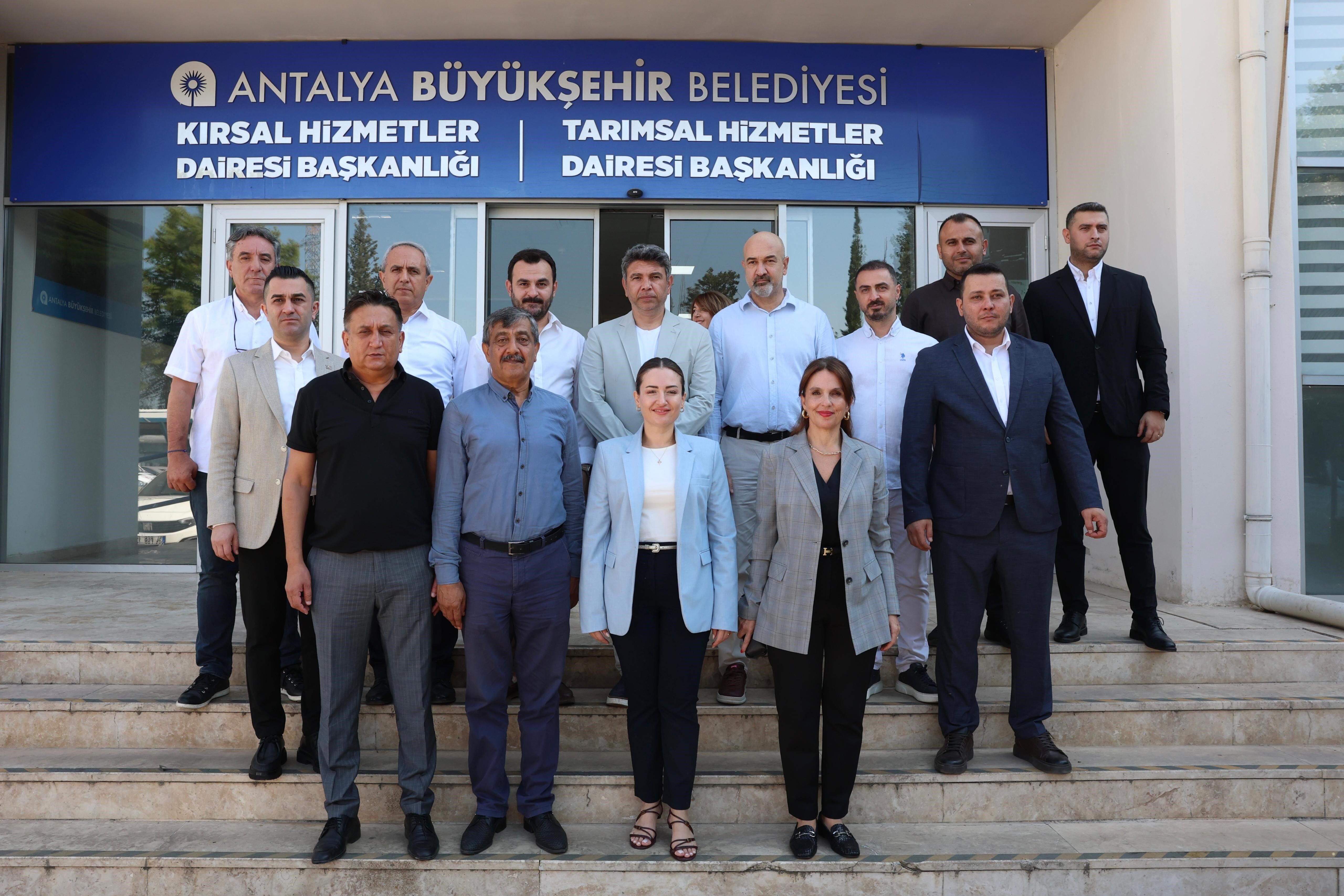 Asevi Antalya Buyuksehir Dagitim2