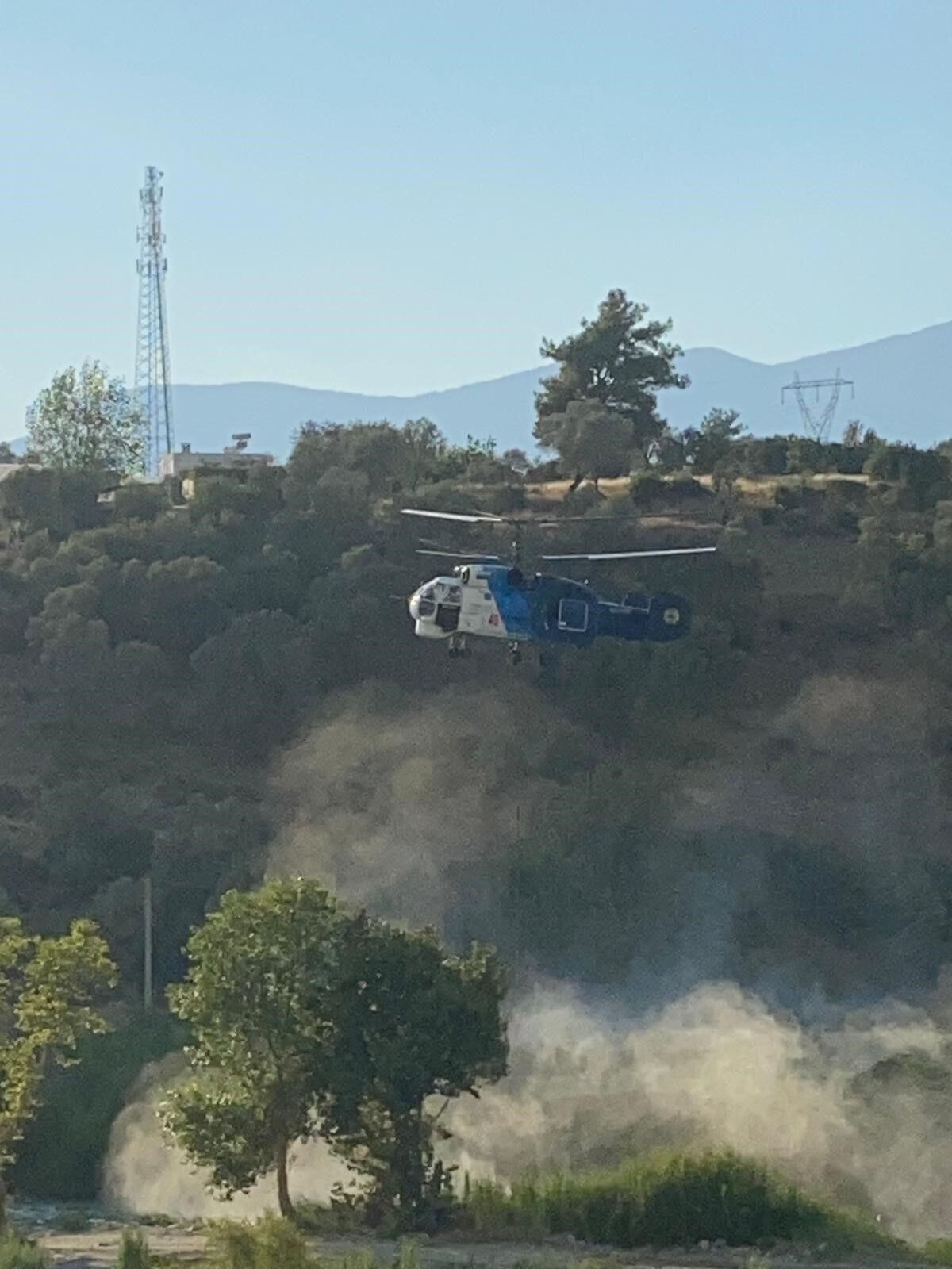 Kas Orman Yangini Kaplumbaga Koyun Kurtarildi1